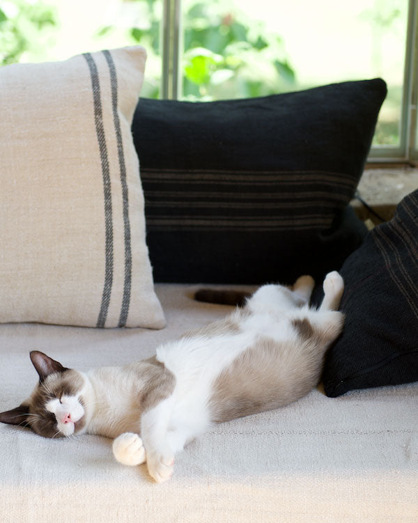 Black & gold stripe hemp